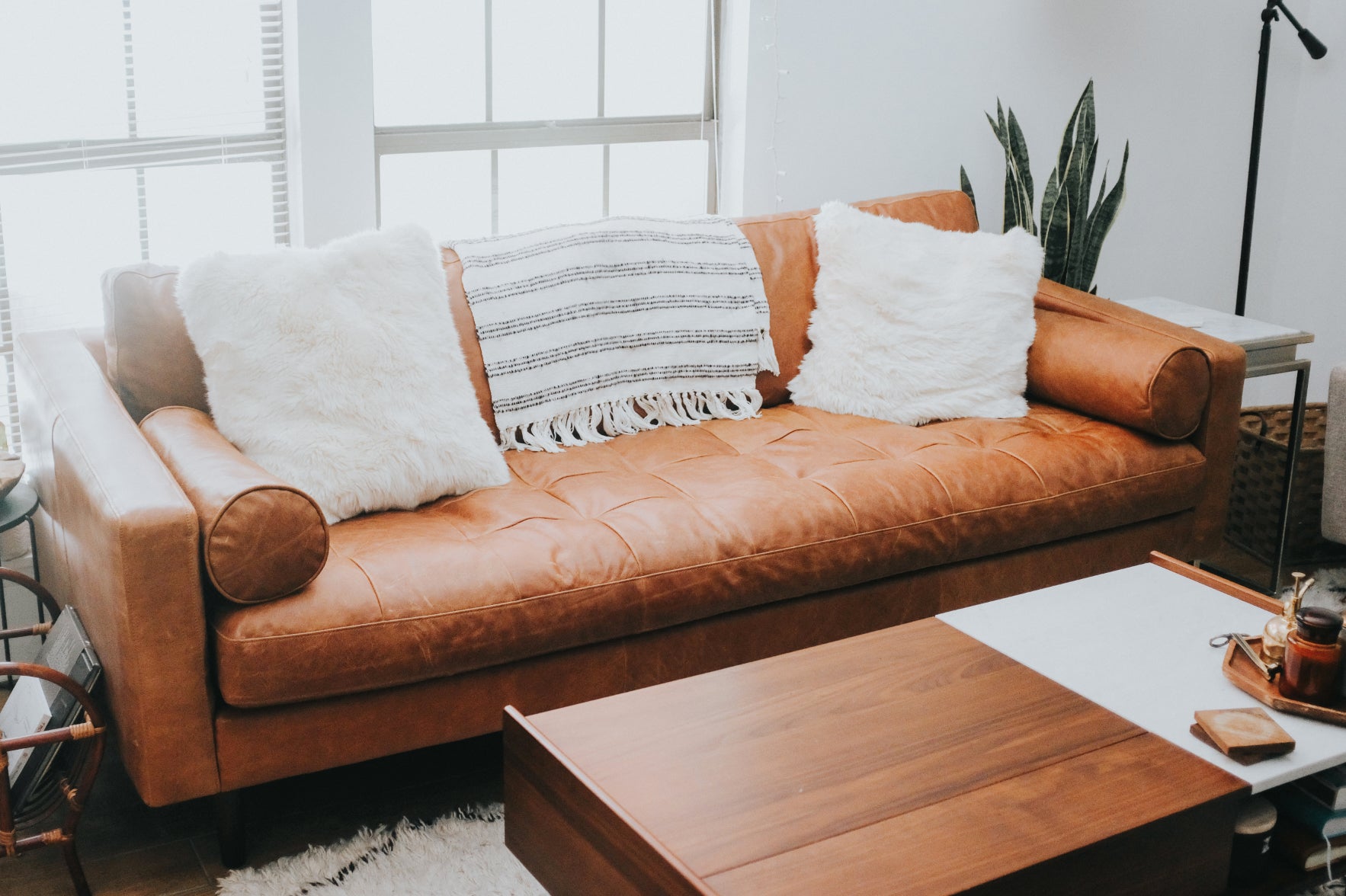 poly and bark napa leather sofa buying guide