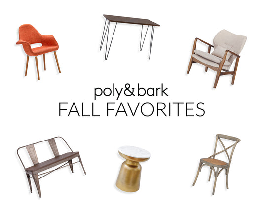 🍁 Fall Furniture Favorites!