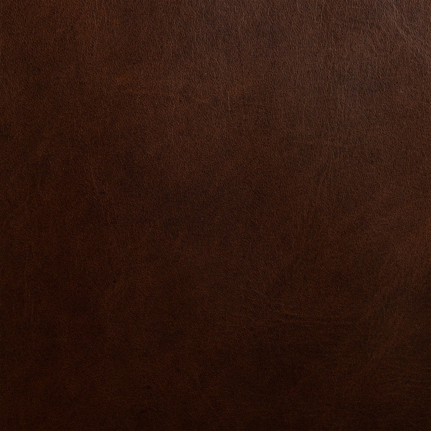 Oscuro Brown