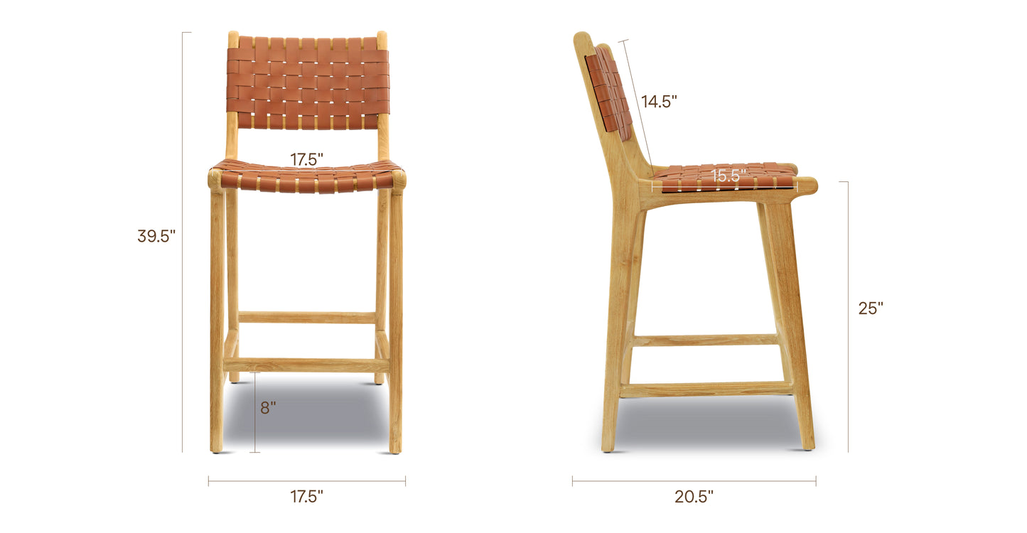 Fauve Tan, dimensions