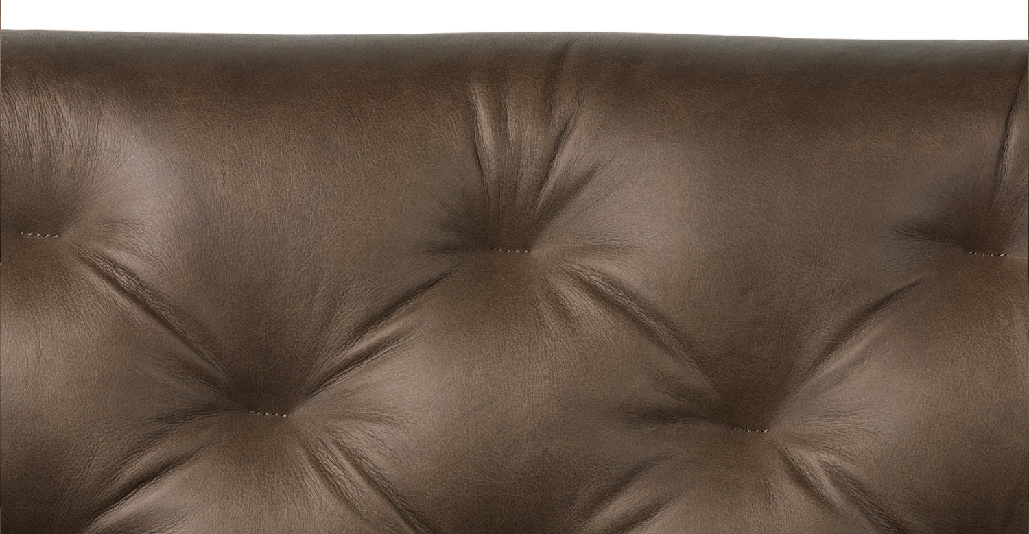 Cocoa Brown