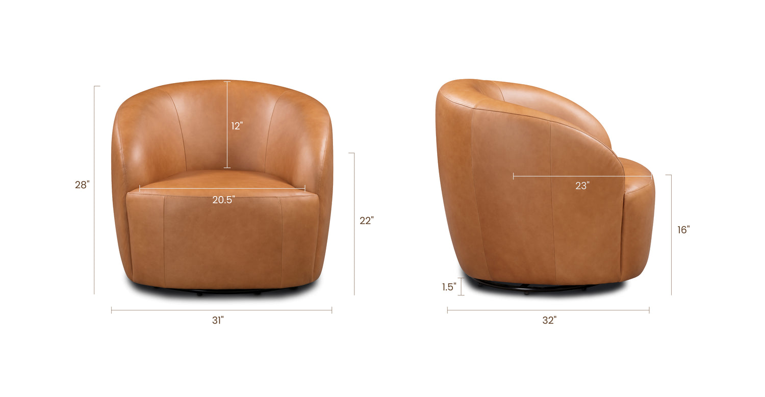 Bourbon Tan, dimensions