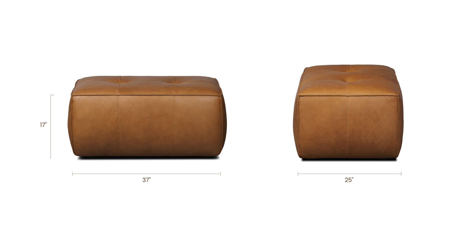 Saddle Tan, dimensions