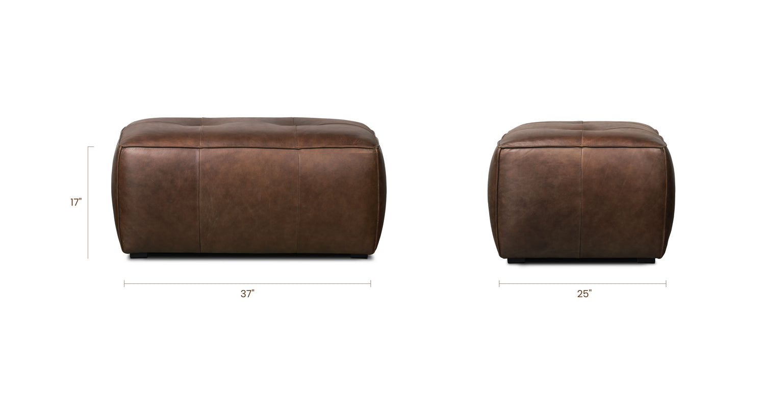 Chocolate Brown, dimensions