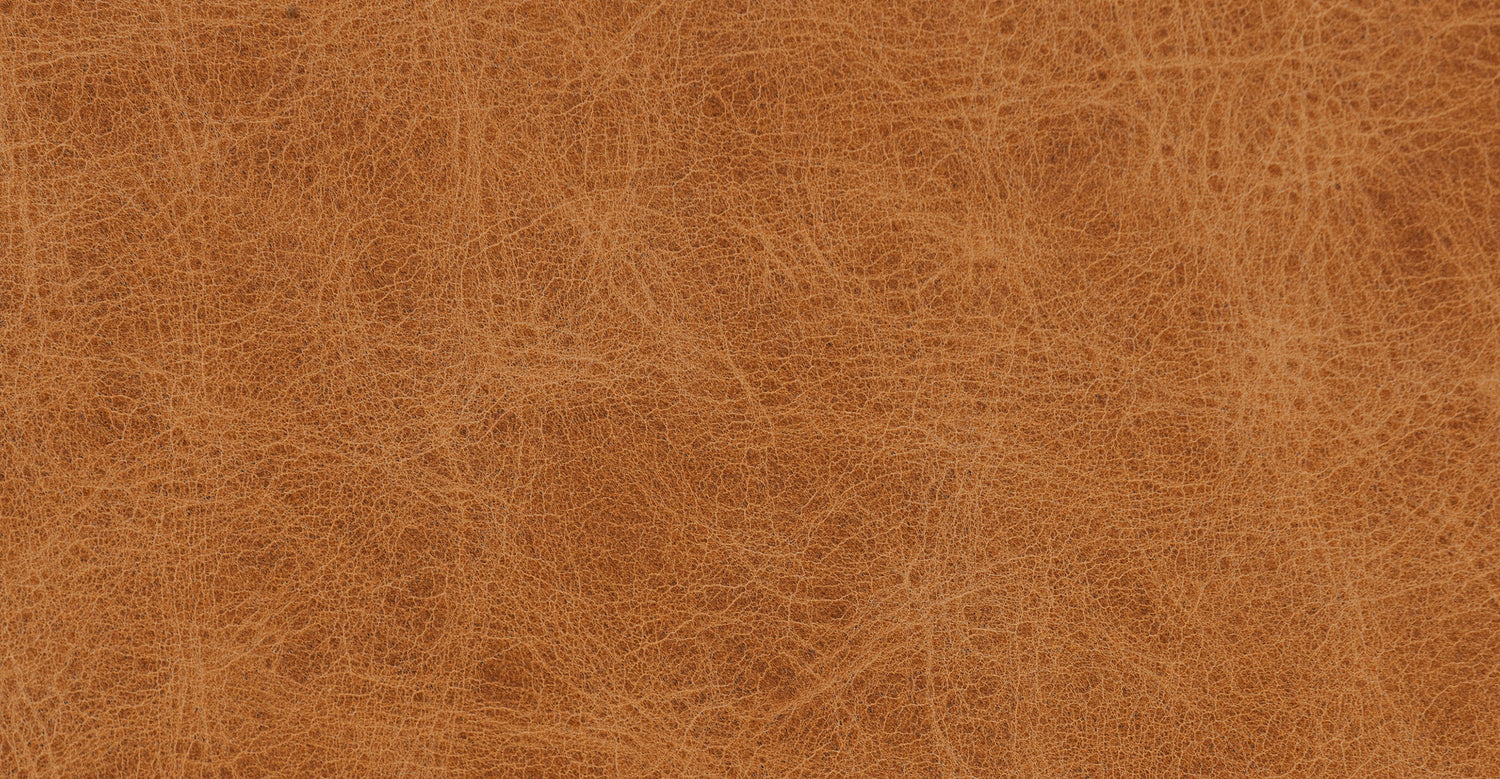 Antica Tan