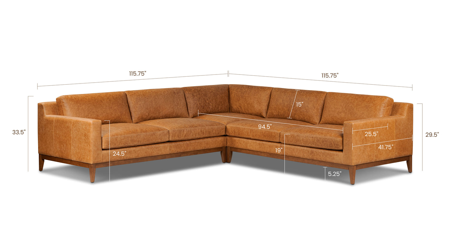 Antica Tan, dimensions