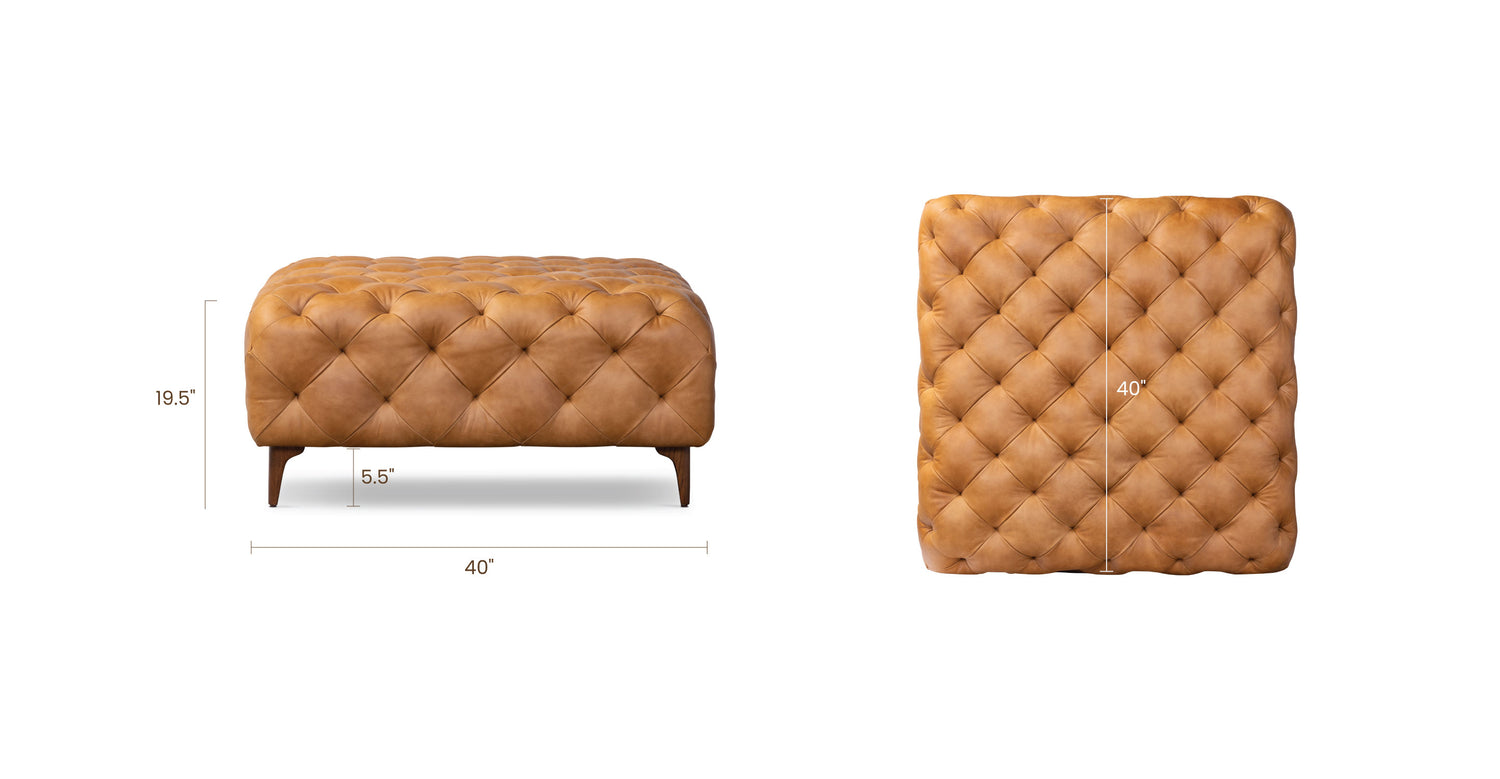 Cognac Tan, dimensions