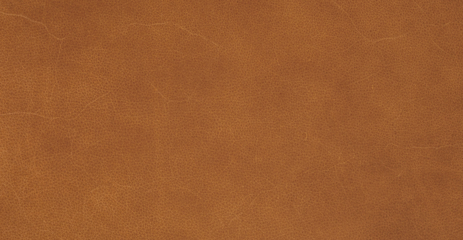 Bosco Leather Lounge Chair Saddle Tan