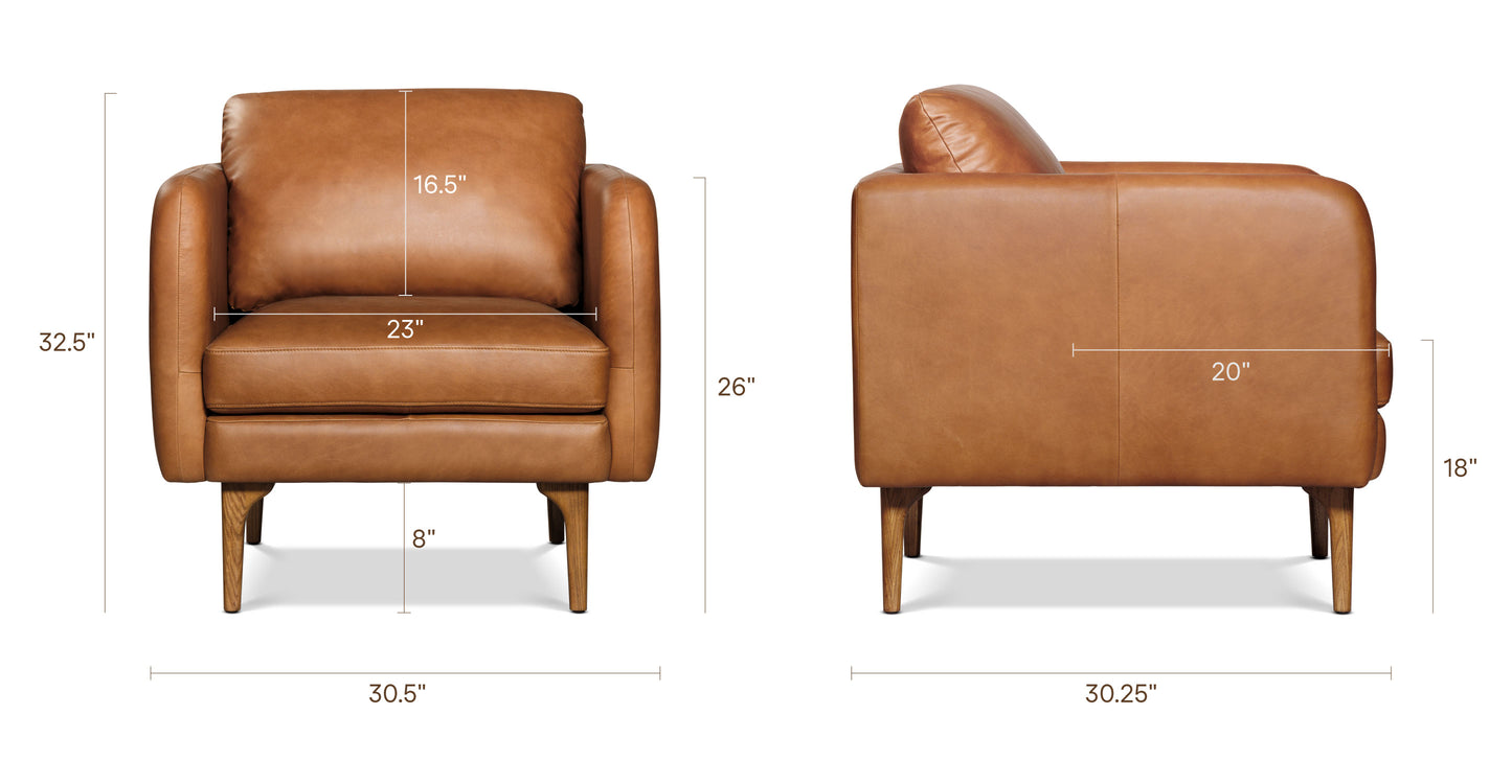 Saddle Tan, dimensions