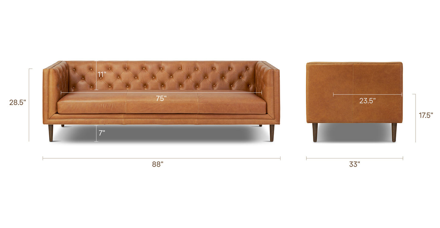 Saddle Tan, dimensions