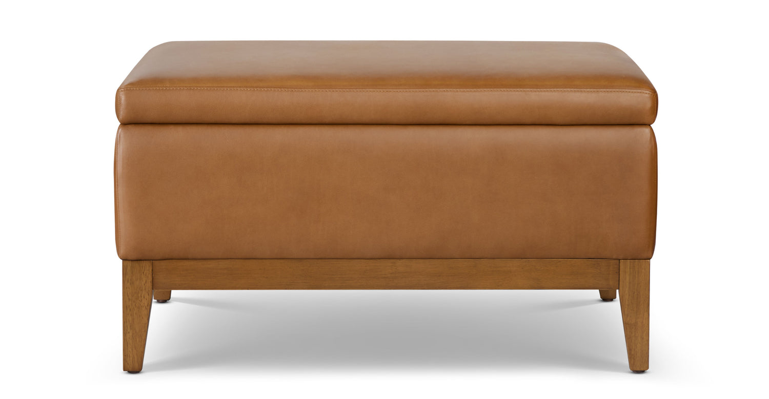 Zyon Leather Storage Ottoman (35