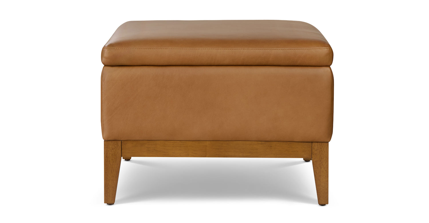 Zyon Leather Storage Ottoman (35