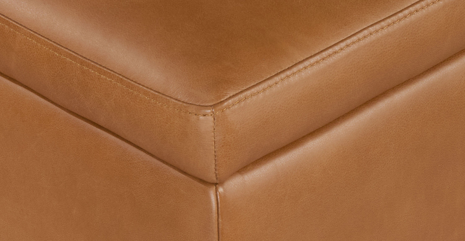 Zyon Leather Storage Ottoman (35