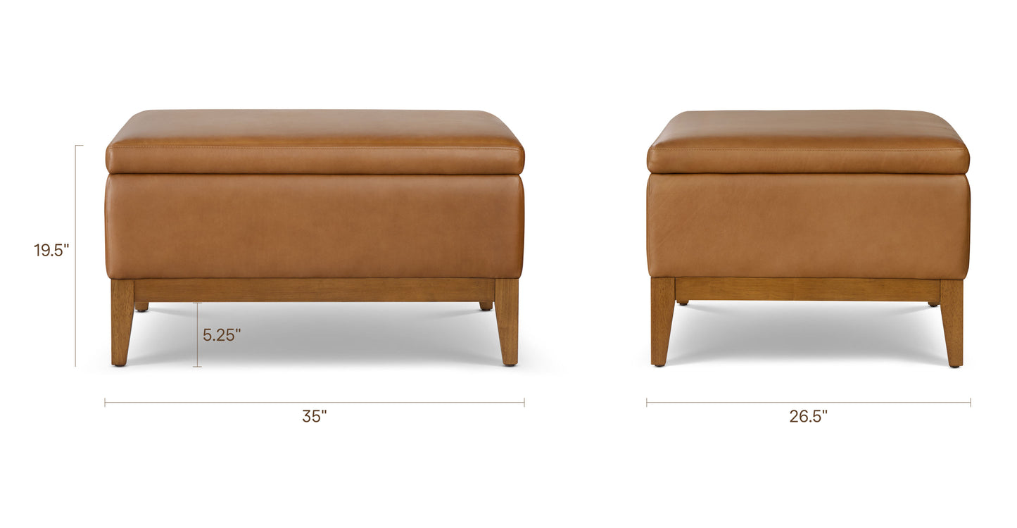 Saddle Tan, dimensions