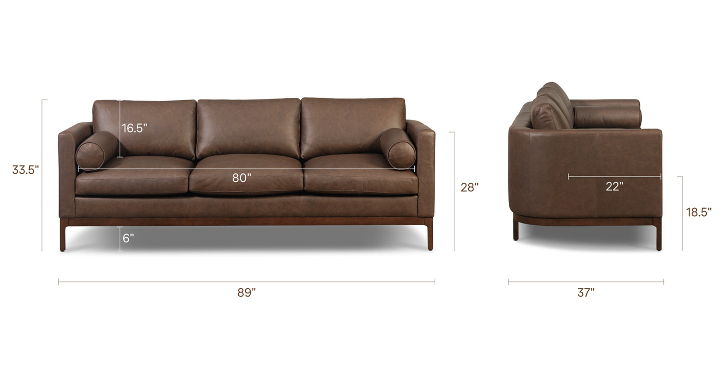 Bridle Brown, dimensions