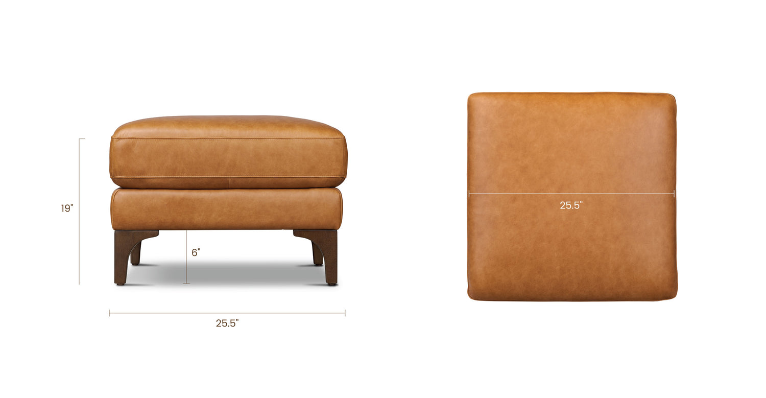 Cognac Tan, dimensions