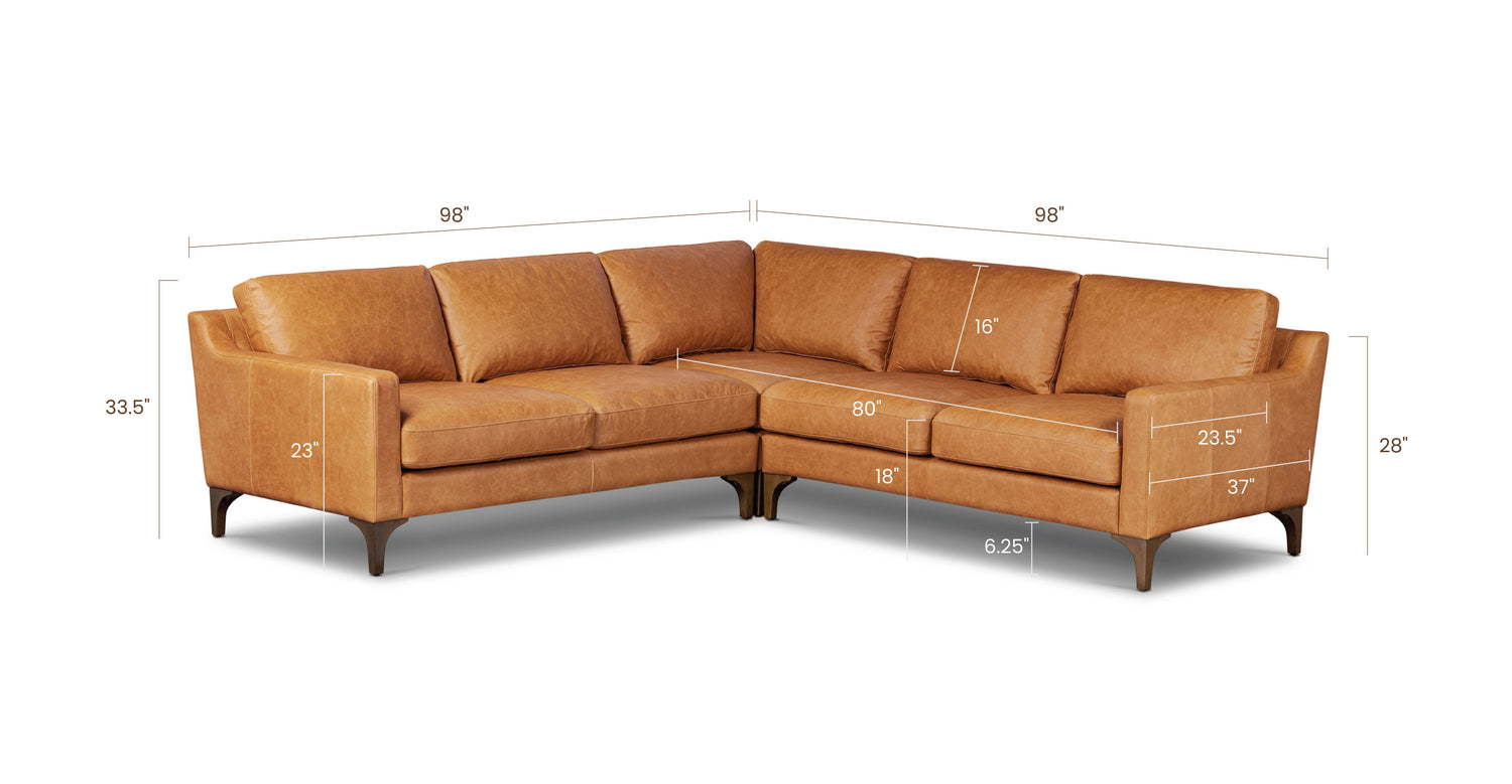 Cognac Tan, dimensions