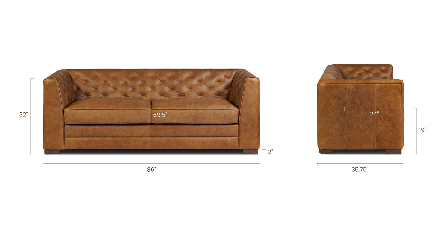 Russet Tan, dimensions