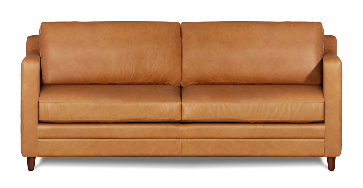 Harper Leather Pull-Out Convertible Sleeper Sofa (82