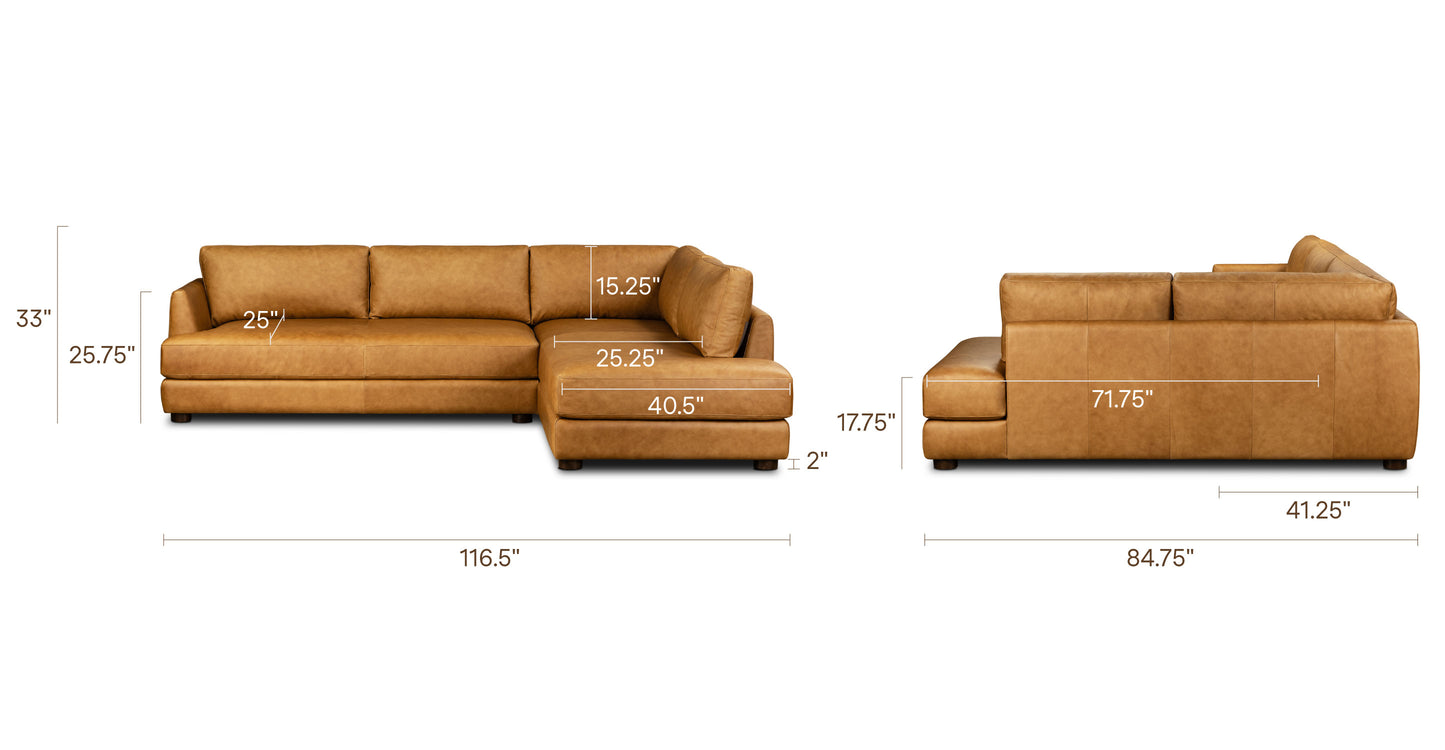 Cognac Tan, dimensions