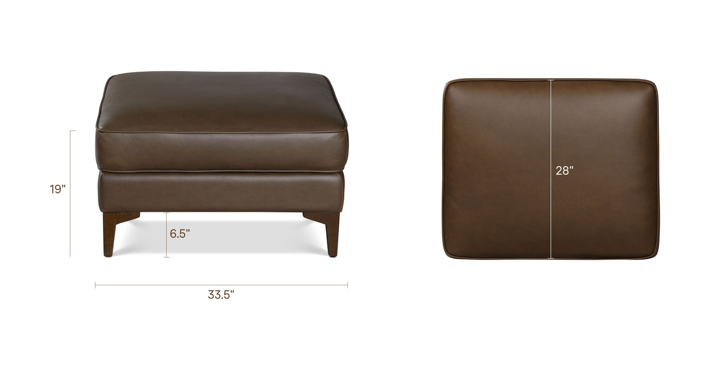 Cocoa Brown, dimensions