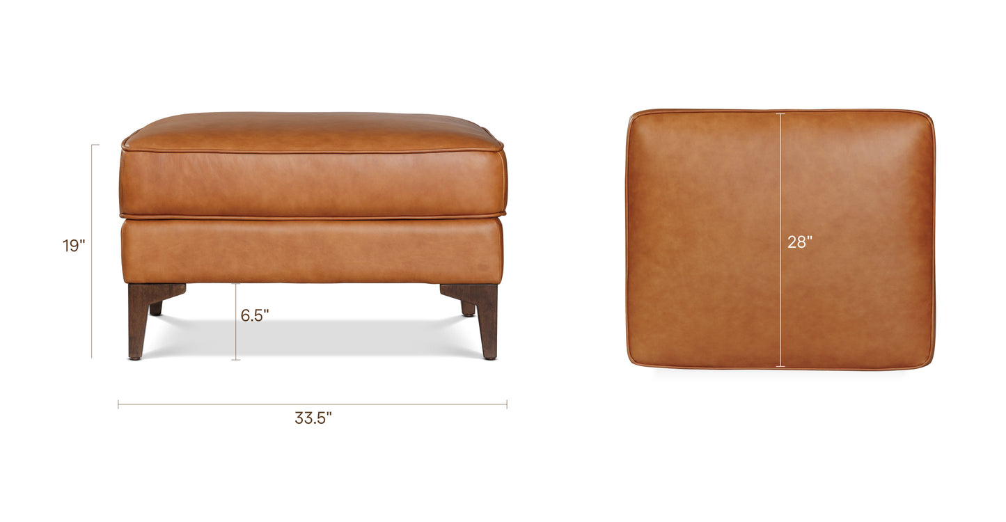 Cognac Tan, dimensions