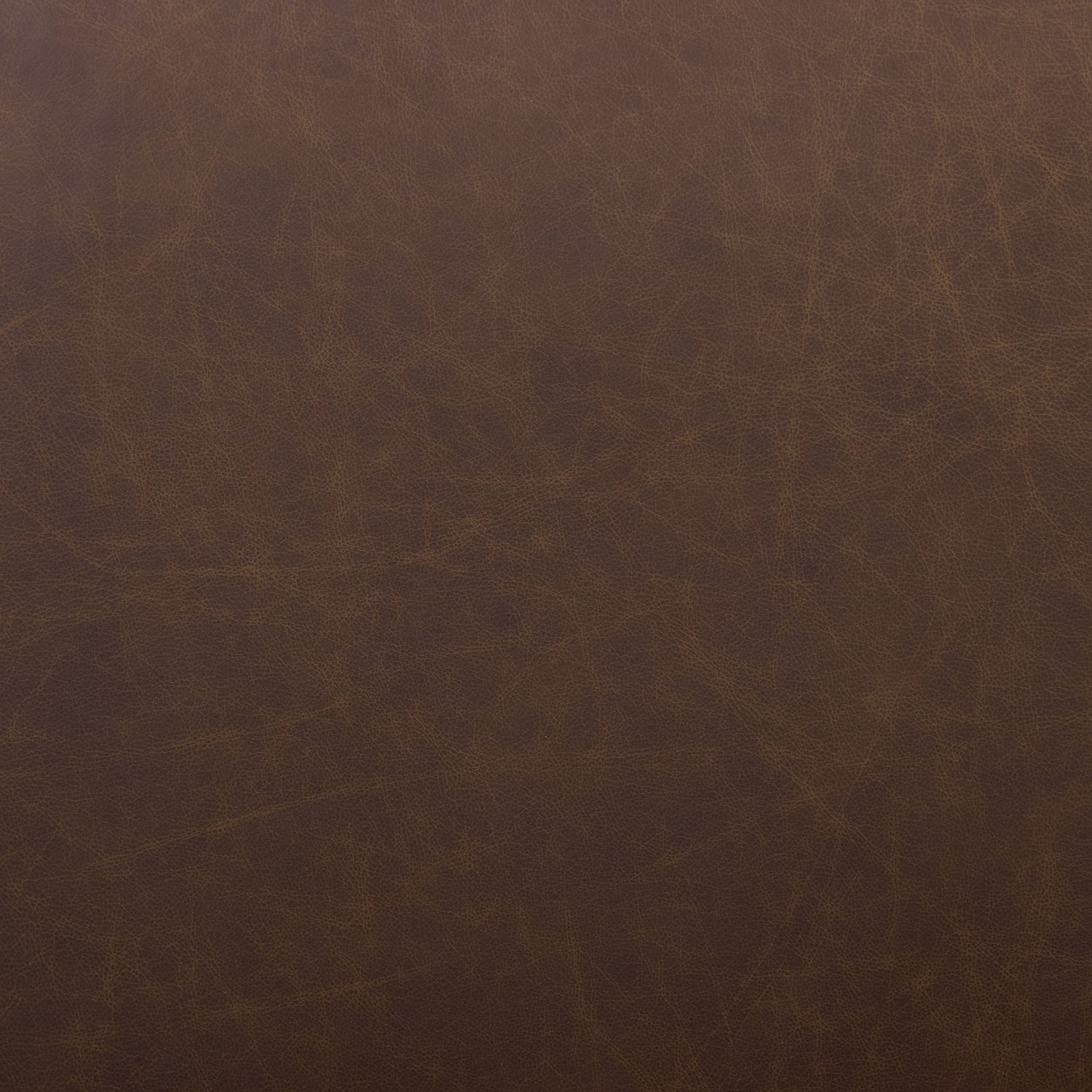 Italian Tanned Leather Swatches Bridle Brown