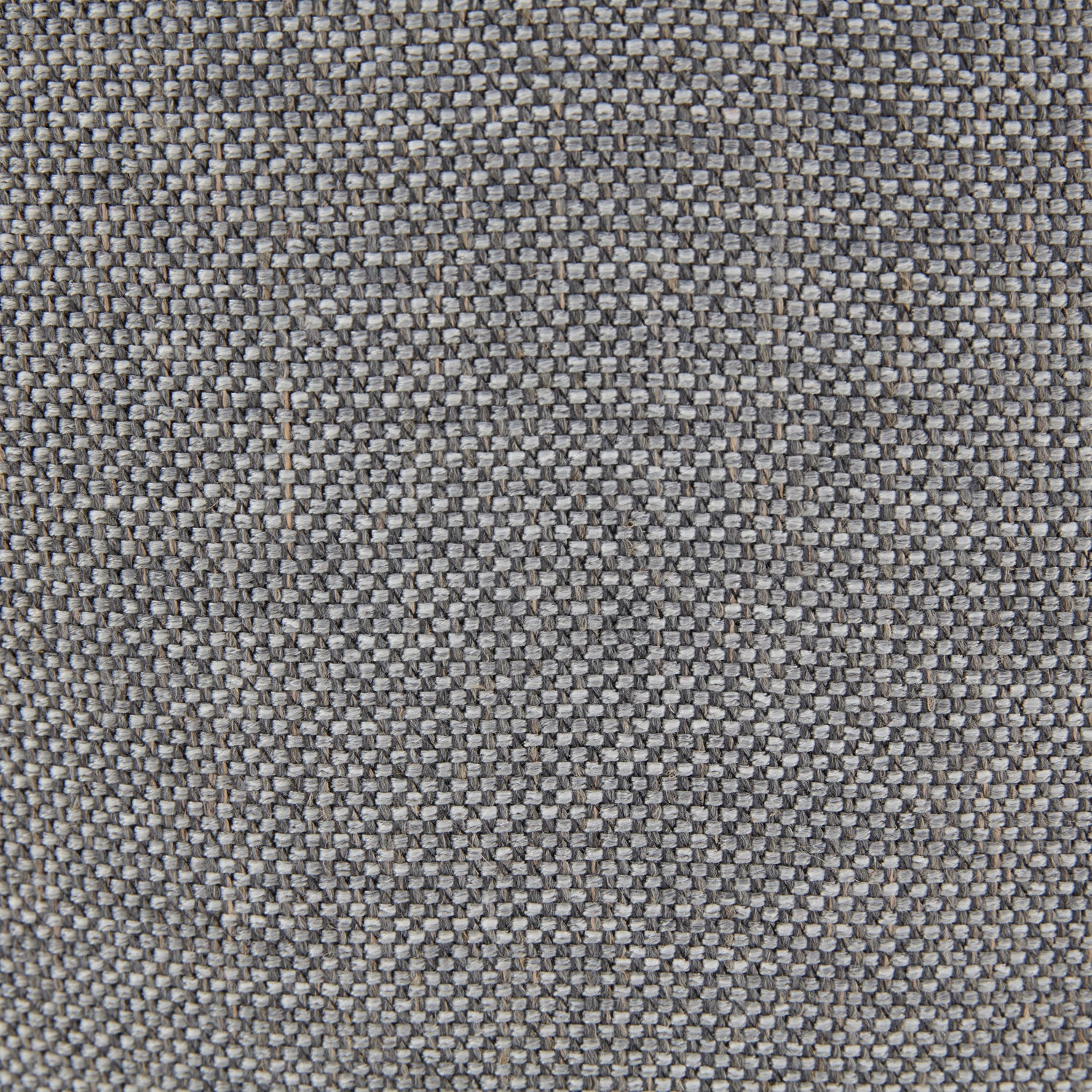 Owl Grey