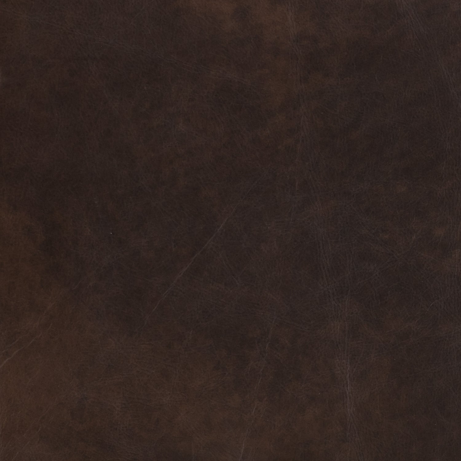 Madagascar Cocoa