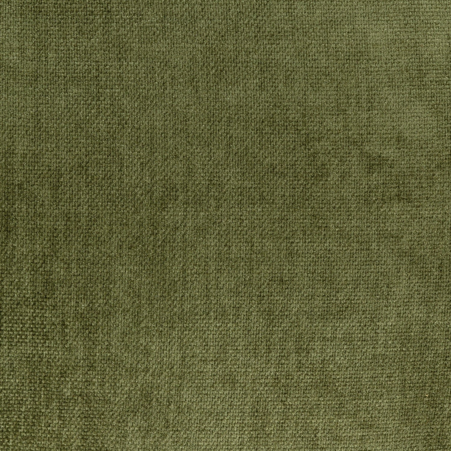 Distressed Green Velvet