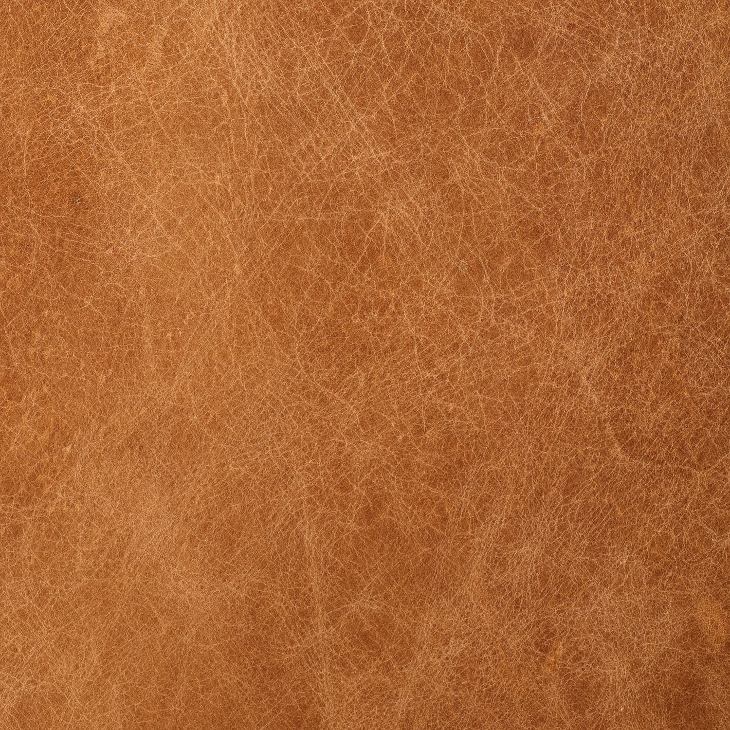 Italian Tanned Leather Swatches Cognac Tan