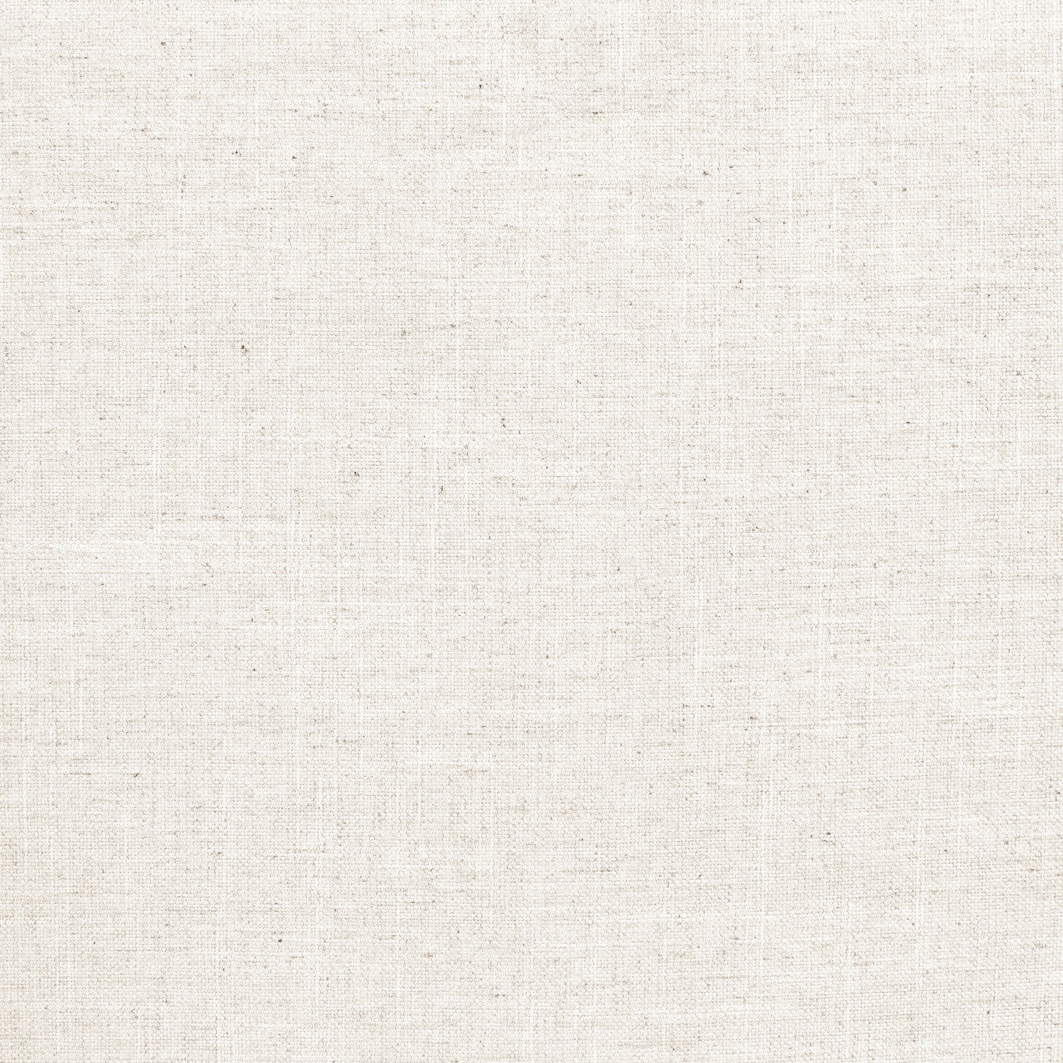 Birch White
