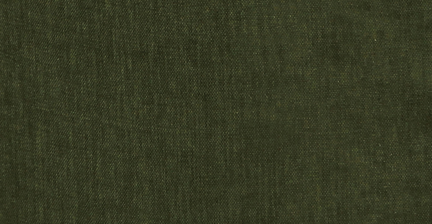 Distressed Green Velvet