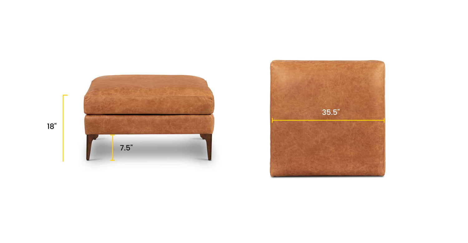 Cognac Tan, dimensions