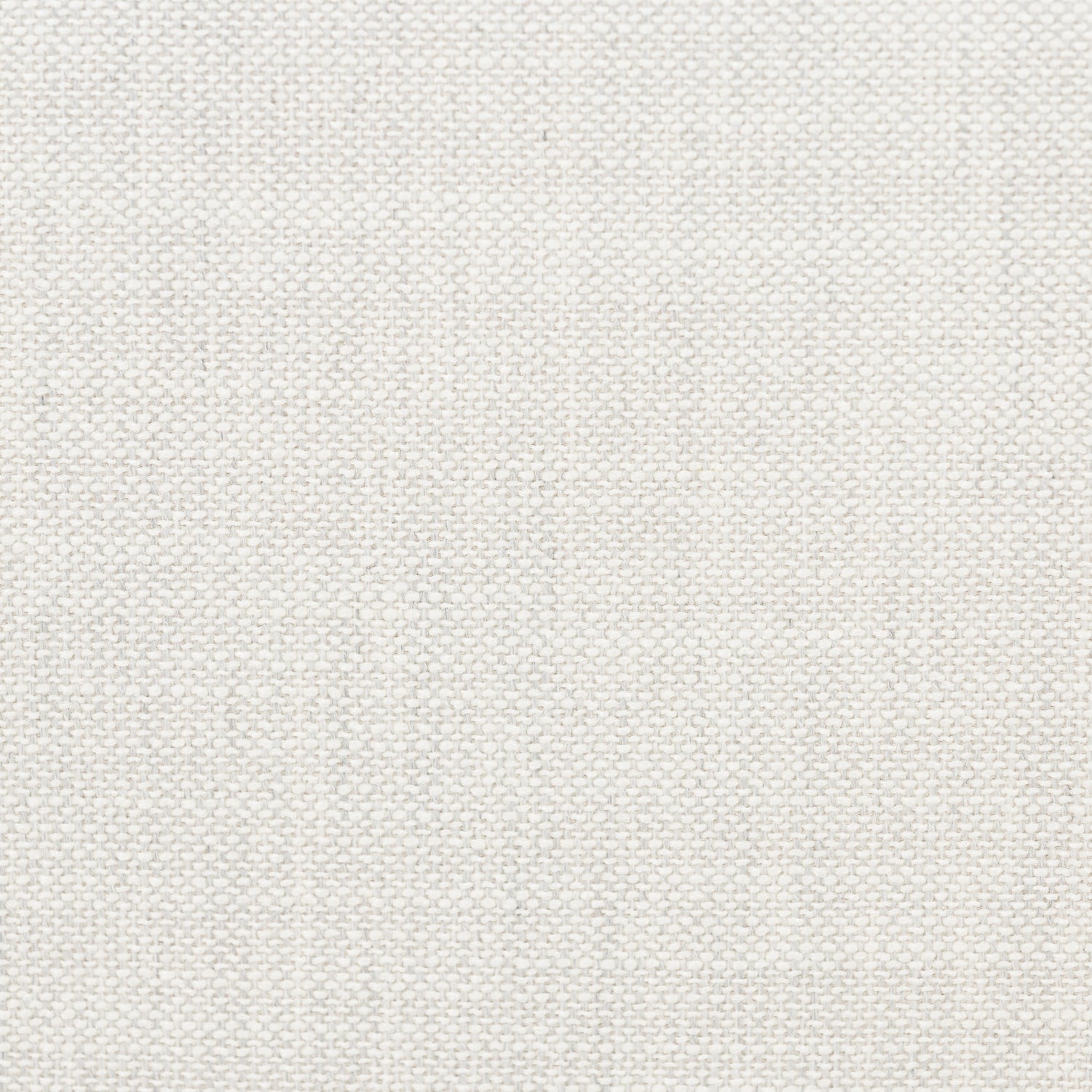 Froth Grey