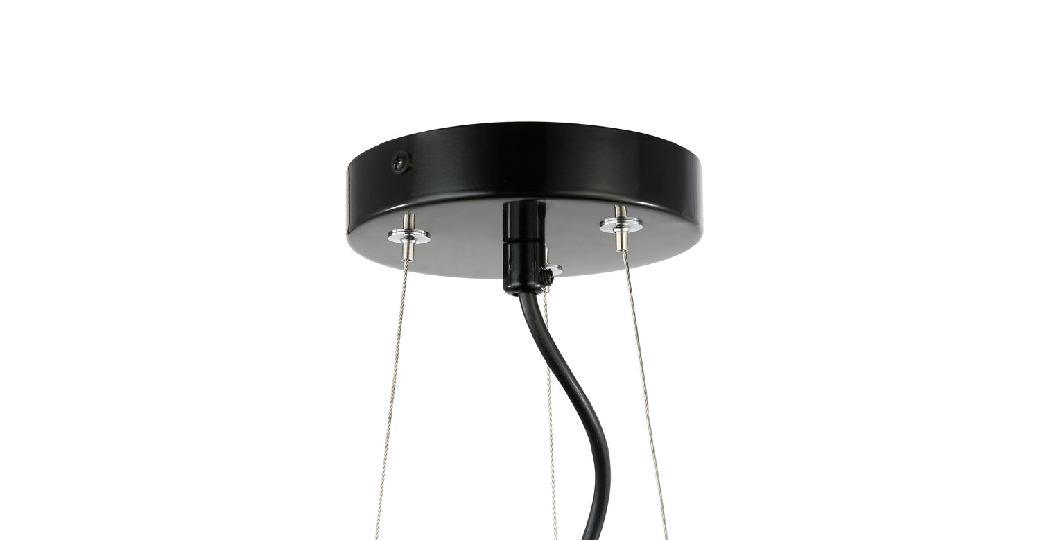 Black/Clear,