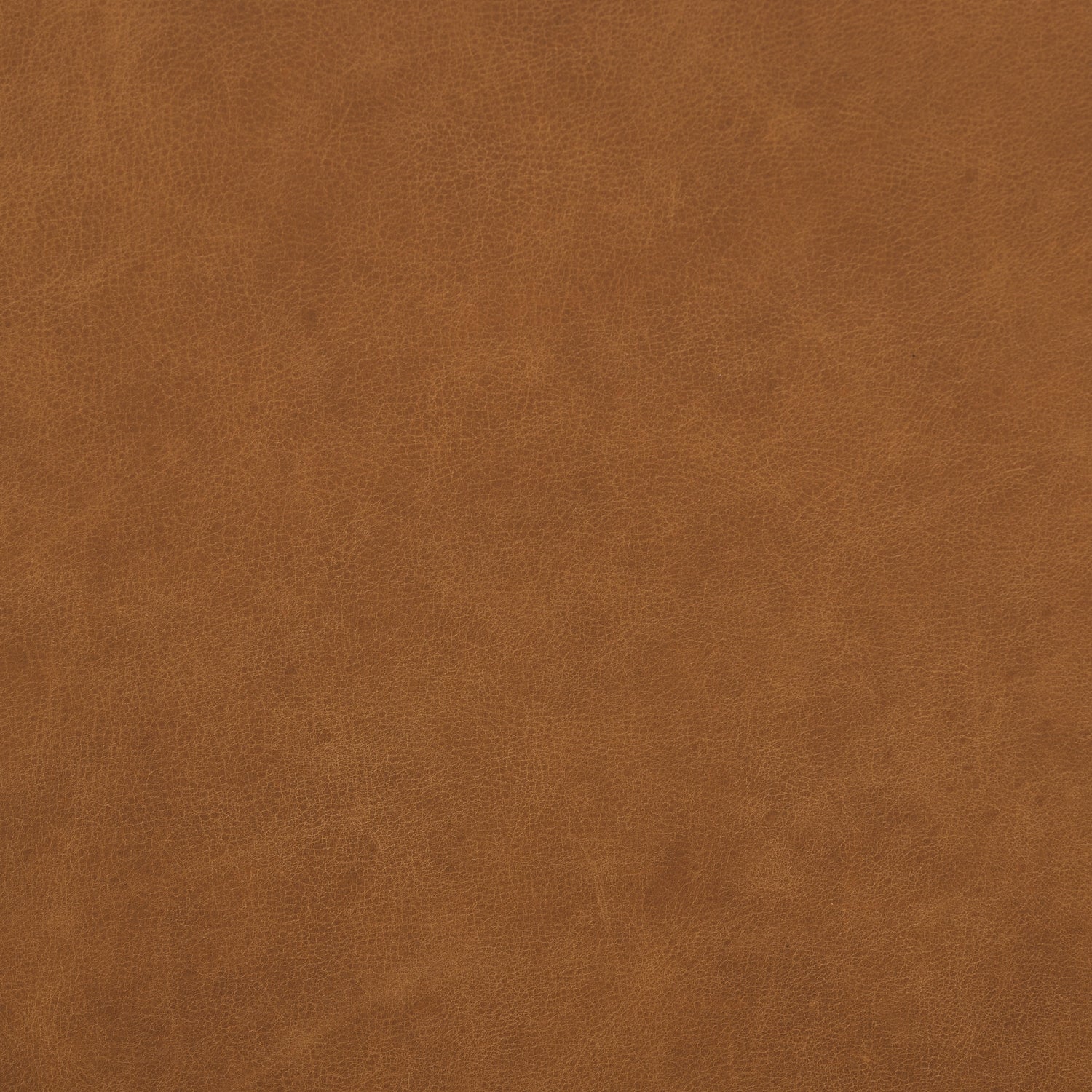 Saddle Tan