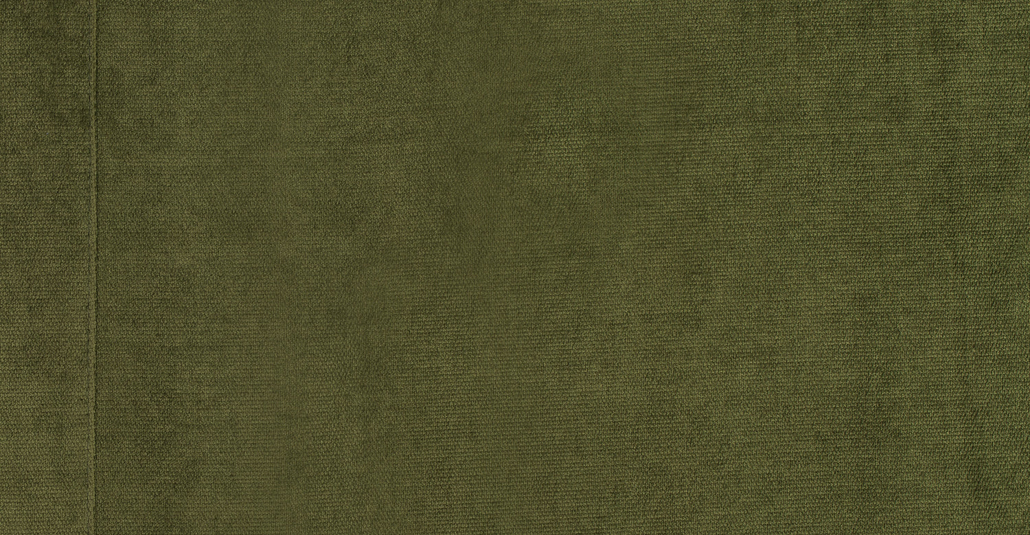 Distressed Green Velvet