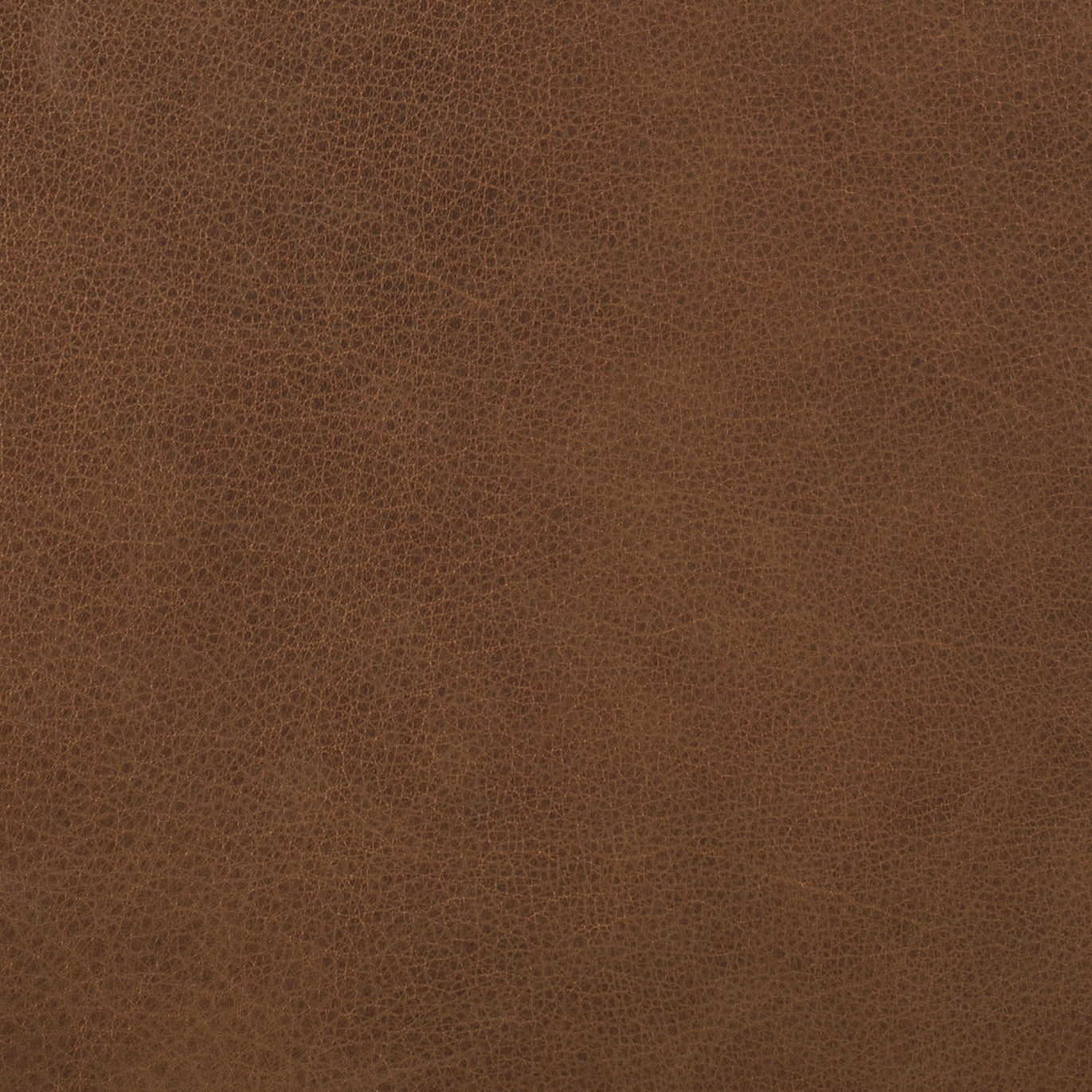 Derby Tan