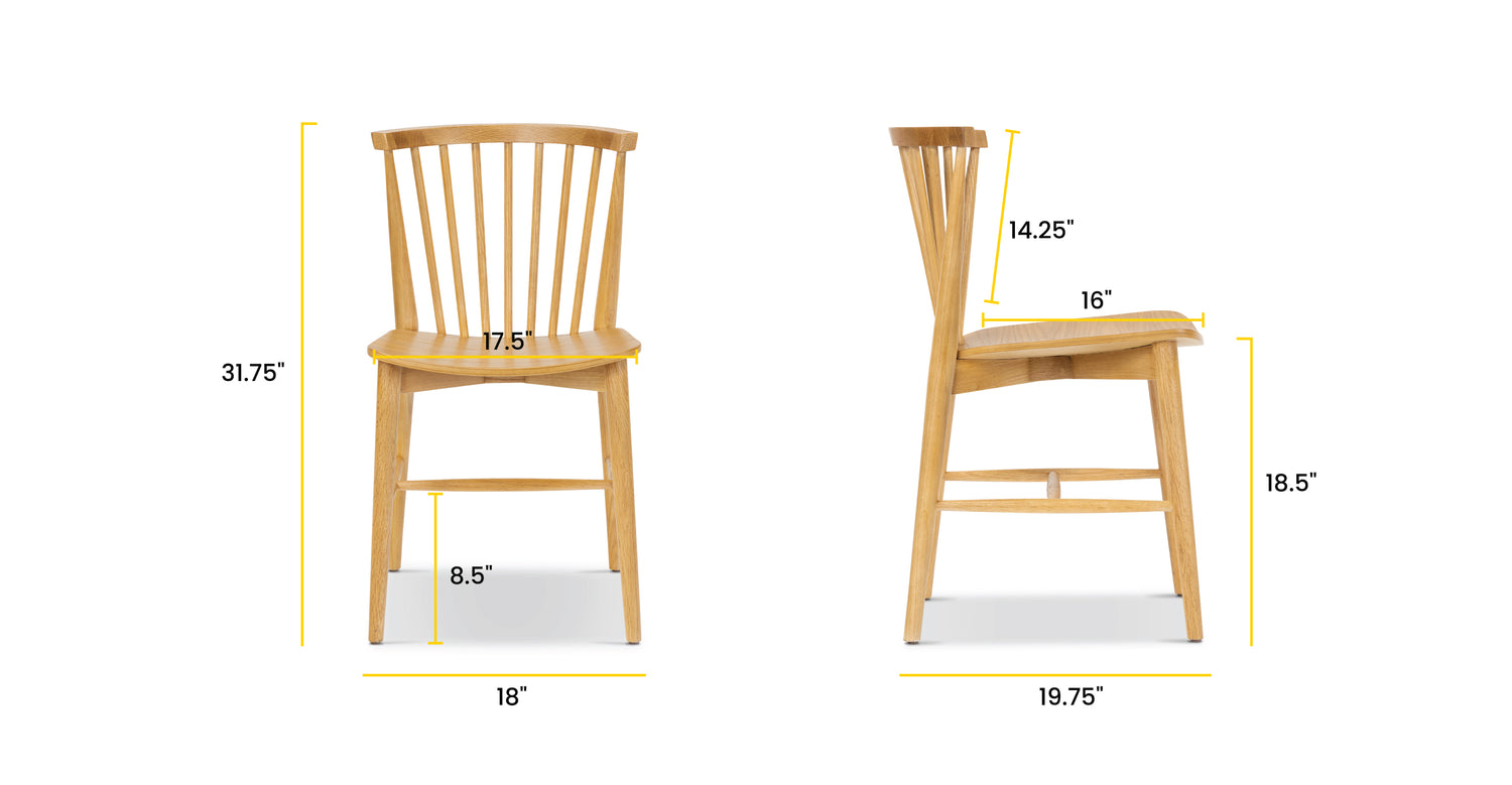 Oak, dimensions